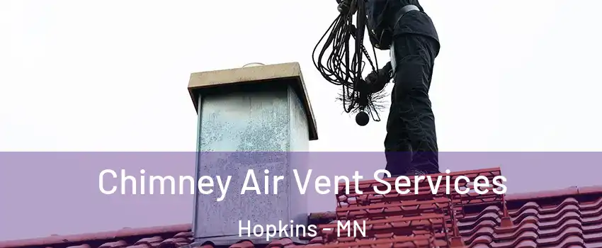  Chimney Air Vent Services Hopkins - MN