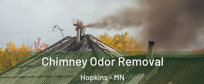  Chimney Odor Removal Hopkins - MN