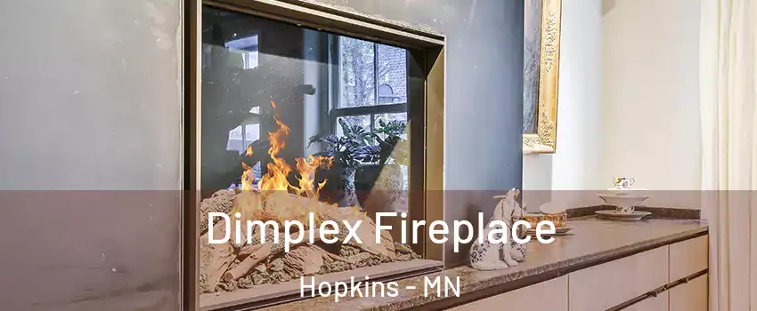  Dimplex Fireplace Hopkins - MN