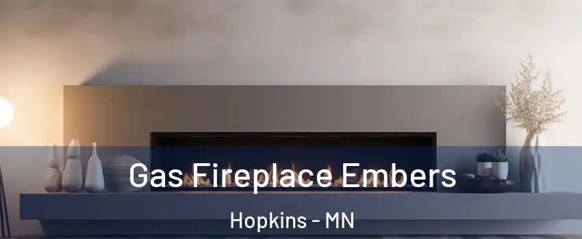  Gas Fireplace Embers Hopkins - MN
