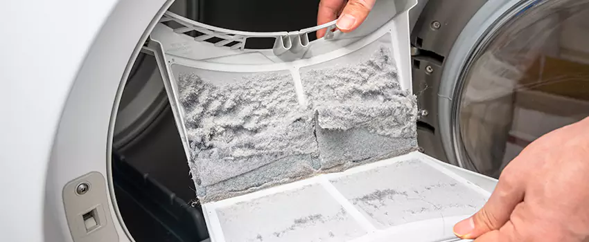 Best Dryer Lint Removal Company in Hopkins, Minnesota