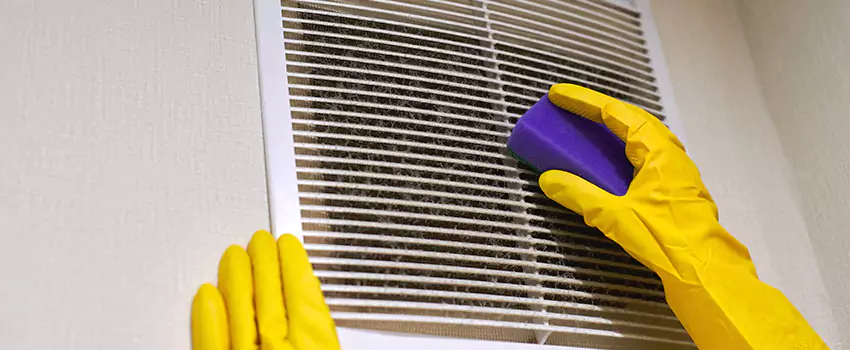 Vent Cleaning Company in Hopkins, MN
