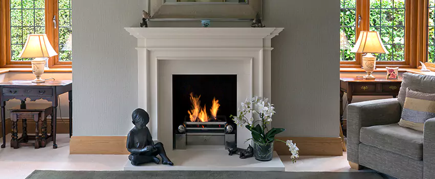 Astria Open-Hearth Wood Fireplaces Services in Hopkins, MN