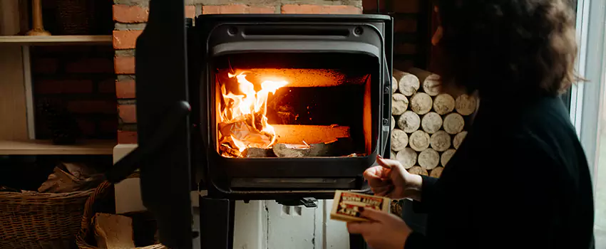 Hearthstone Wood Stoves Fireplace Repair in Hopkins, Minnesota