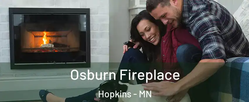  Osburn Fireplace Hopkins - MN
